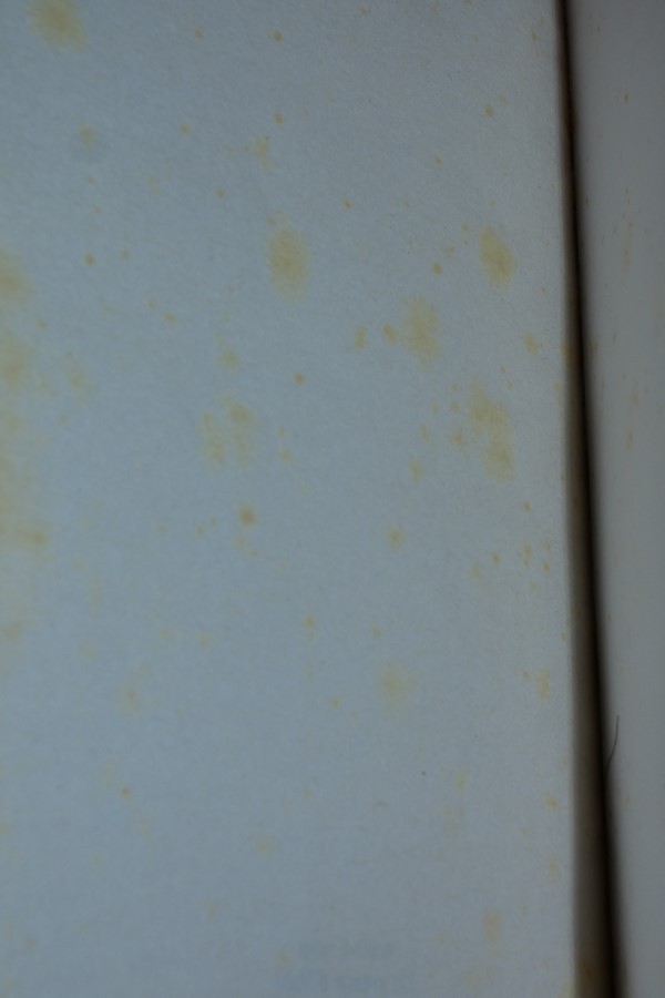 Star Wars - La tempête approche intérieur du dos