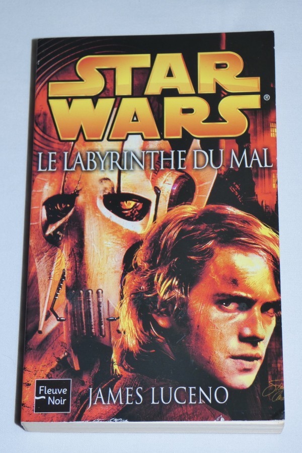 Star Wars - Le labyrinthe du mal - couverture